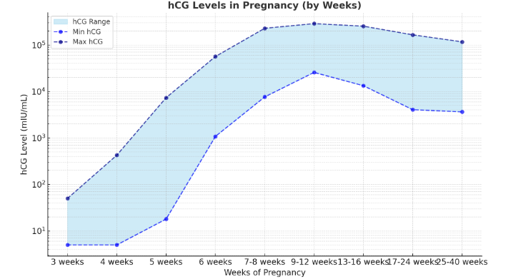 hcg chart in pregnancy