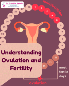 Understanding Ovulation and Fertility